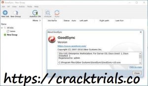 GoodSync 11.9.6.6 Crack + Keygen 2022 Torrent Free Download 2022